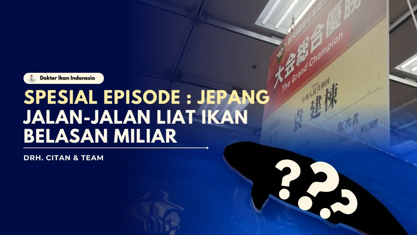 Thumbnail for a Dokter Ikan Indonesia documentary episode